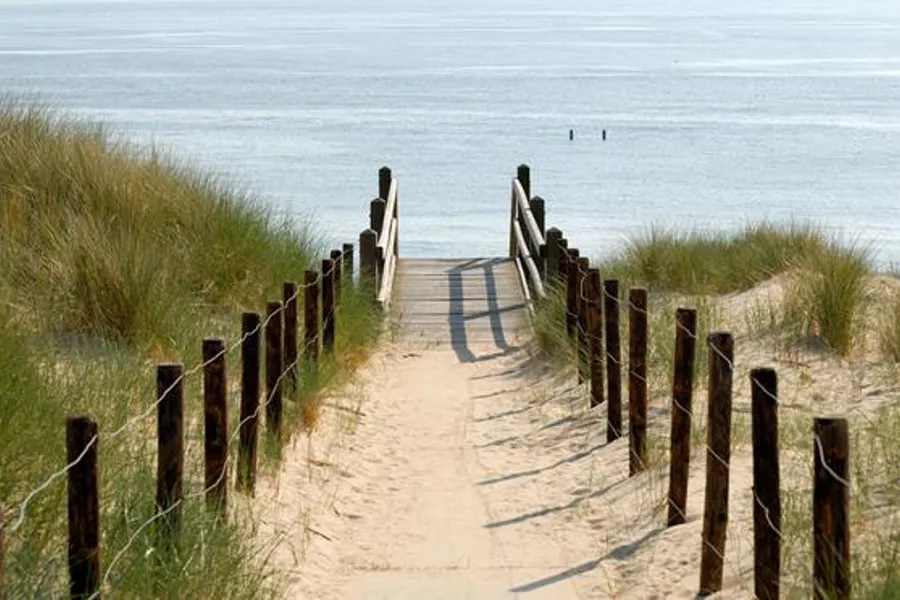 En gangvei i tre langs en strand