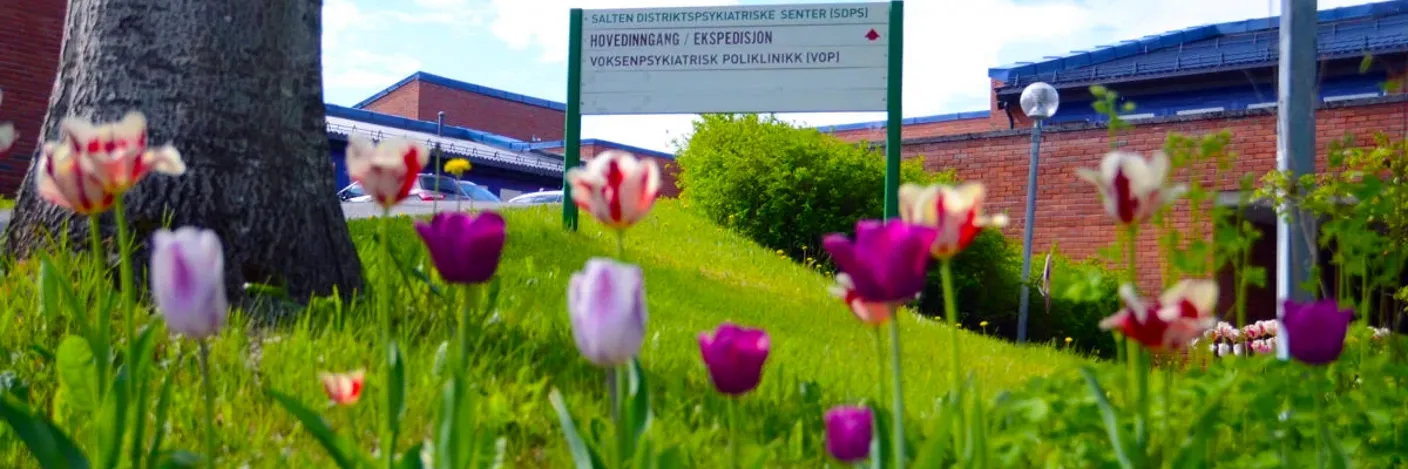En gruppe blomster ved siden av et tre
