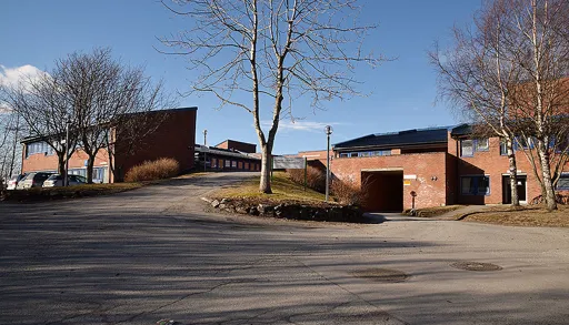 En gate med hus og trær